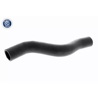 Durite de radiateur ACKOJA A26-1604