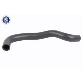 Durite de radiateur ACKOJA A26-1606