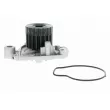 ACKOJA A26-50007 - Pompe à eau