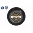ACKOJA A26-99-0007 - Thermostat d'eau