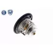 ACKOJA A26-99-0007 - Thermostat d'eau