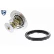 ACKOJA A26-99-0008 - Thermostat d'eau