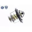 ACKOJA A26-99-0010 - Thermostat d'eau