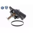 ACKOJA A26-99-0012 - Thermostat d'eau