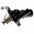 ACKOJA A32-99-0005 - Thermostat d'eau