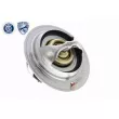 ACKOJA A32-99-1701 - Thermostat d'eau