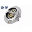 ACKOJA A32-99-1701 - Thermostat d'eau