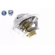 ACKOJA A32-99-1701 - Thermostat d'eau