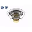ACKOJA A32-99-1701 - Thermostat d'eau