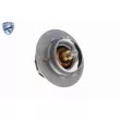 ACKOJA A32-99-1702 - Thermostat d'eau