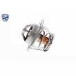 ACKOJA A32-99-1702 - Thermostat d'eau