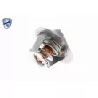 ACKOJA A32-99-1702 - Thermostat d'eau