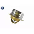 ACKOJA A32-99-1704 - Thermostat d'eau