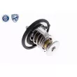ACKOJA A32-99-1705 - Thermostat d'eau