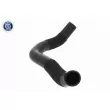 ACKOJA A37-1600 - Durite de radiateur