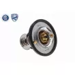 ACKOJA A37-99-0005 - Thermostat d'eau