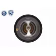 ACKOJA A37-99-0005 - Thermostat d'eau