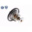 ACKOJA A37-99-0005 - Thermostat d'eau