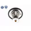 ACKOJA A37-99-0005 - Thermostat d'eau