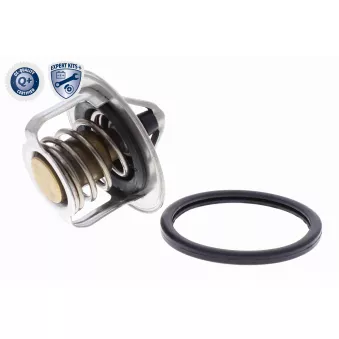 Thermostat d'eau ACKOJA OEM MN176384