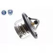 ACKOJA A37-99-0006 - Thermostat d'eau