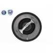 ACKOJA A37-99-0006 - Thermostat d'eau
