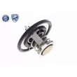 ACKOJA A37-99-0006 - Thermostat d'eau
