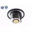 ACKOJA A37-99-0006 - Thermostat d'eau