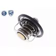 ACKOJA A37-99-0006 - Thermostat d'eau