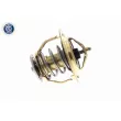 ACKOJA A37-99-0010 - Thermostat d'eau