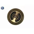 ACKOJA A37-99-0010 - Thermostat d'eau