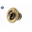 ACKOJA A37-99-0010 - Thermostat d'eau
