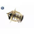 ACKOJA A37-99-0010 - Thermostat d'eau