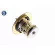 ACKOJA A37-99-0010 - Thermostat d'eau