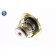 ACKOJA A37-99-0010 - Thermostat d'eau