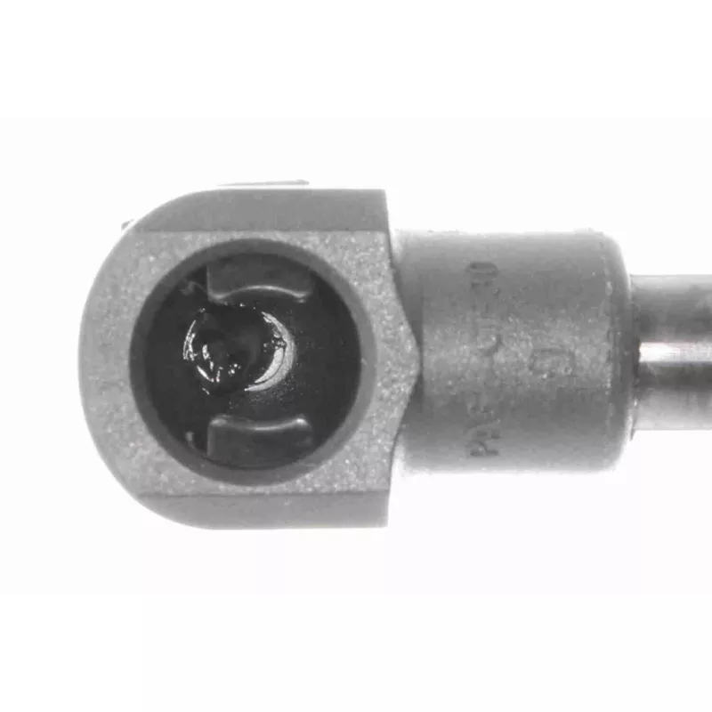 Vérin de hayon, de coffre ACKOJA A38-0338 - Visuel 2