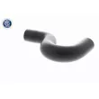 ACKOJA A38-1601 - Durite de radiateur