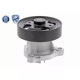 Pompe à eau ACKOJA OEM B10106N21A
