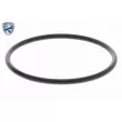 ACKOJA A38-50011 - Pompe à eau