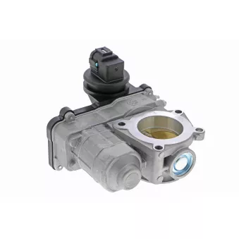 Corps papillon ACKOJA A38-81-0002