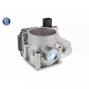 Corps papillon ACKOJA A38-81-0003