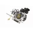ACKOJA A38-81-0008 - Corps papillon