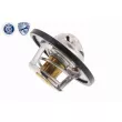 ACKOJA A38-99-0008 - Thermostat d'eau