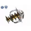 ACKOJA A38-99-0013 - Thermostat d'eau