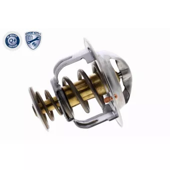 Thermostat d'eau ACKOJA A38-99-0013