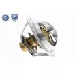 ACKOJA A38-99-0033 - Thermostat d'eau