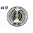 ACKOJA A38-99-0033 - Thermostat d'eau