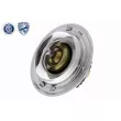 ACKOJA A38-99-0033 - Thermostat d'eau