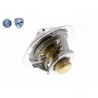 ACKOJA A38-99-0033 - Thermostat d'eau