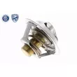 ACKOJA A38-99-0033 - Thermostat d'eau